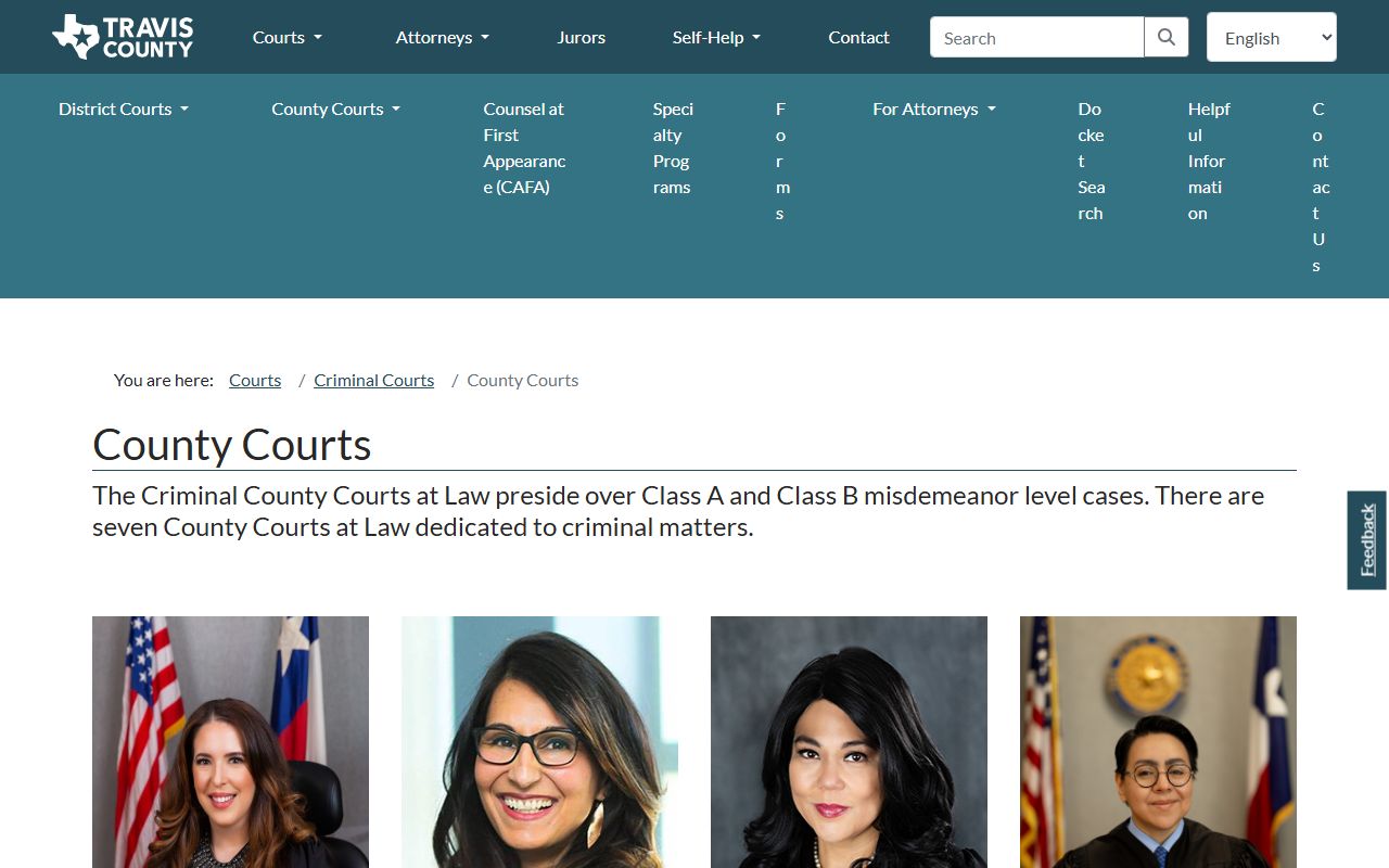 Travis County criminal county courts at law for records