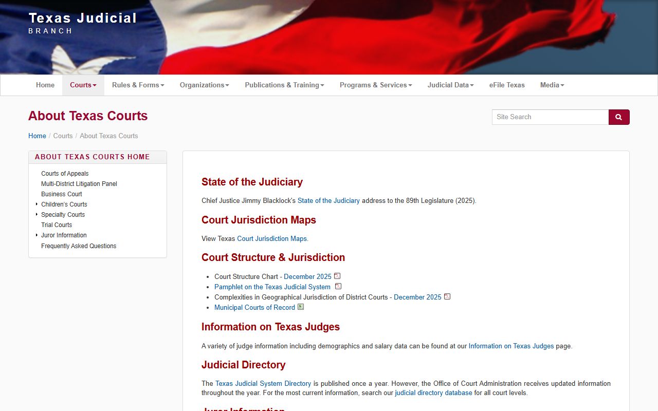 Texas court structure chart used for Travis County court records